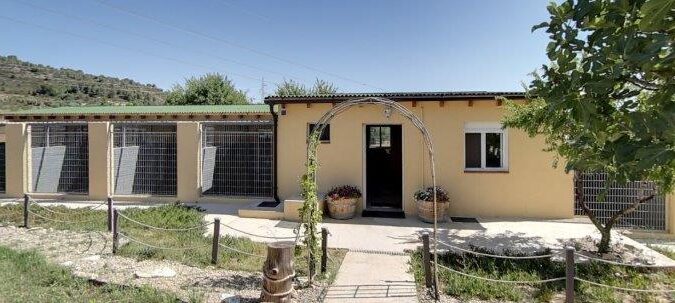 Mora d’Ebre – Registered business with 1 bedroom house and 2 bedroom apartment.