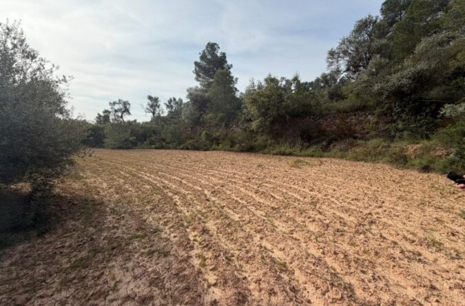 Asco – Rustic land of 1 hectare