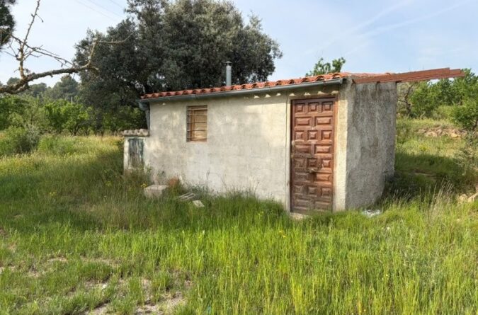 Asco – Finca with small agricultural building