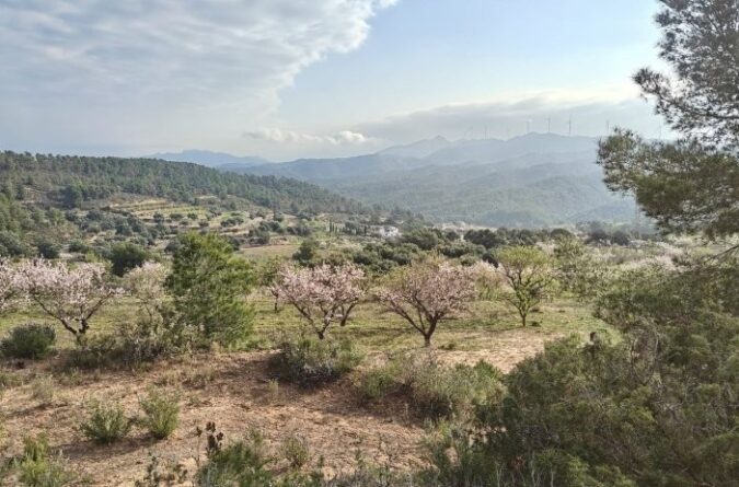 Asco – 4 bedroom, 3 bathroom country house