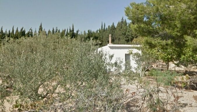 Camarles – near L’Ampolla – plot of rustic land olive trees